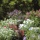 Gardena 1365-20 Micro-Drip-System Sprhdse 360 Bild 2