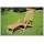 Deckchair Manhattan Teak Bild 1