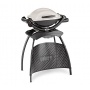 Weber Q1000 Stand Gasgrill Titan Bild 1