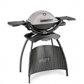 Weber Gasgrill Bild 1