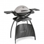 Weber Gasgrill Bild 1