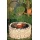 Feuer- und Grillstelle 920 x 400 mm, Gabionengrill von bellissa Haas Bild 1