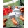 Schwenkgrill Dreibein Grillstelle 50cm inkl. Feuerschale Pan 33, 60cm, Farmcook Bild 3