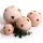 Kugel Terracotta Mediterran Stern Gartenkugel Antik D13cm Bild 1