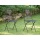 GArtensthle 2er Set BRAUN Bild 1