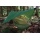 Highlander Nomaden Hngematte Olive Bild 1