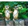 Dekofigur Erdmnnchen Max und Moritz  Bild 5