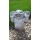 Steinfigur Troll  Bild 1