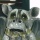 Drachen ist ngstlich Drache Deko Garten Figur Gartenfigur Skulptur Gargoyle Bild 4