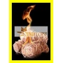 6,5 kg (ca. 500 Stck) Zndfchse Holzwolle Bio Grillanznder Bild 1