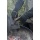 Steven Raichlen Grillhandschuhe aus Leder Bild 3