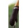 Weber 8401 Grillhandschuh, schwarz Bild 2