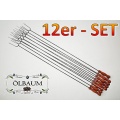 12 x 1 METER 100 cm lange Grillspiee mit Gabel lbaum Bild 1