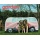 Spielzelt VW Campingbus, 165 x 54 x 77 cm H Bild 5