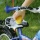 Knorrtoys G52051 - Kindergartengerte  Bild 4