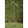 Edelstahldusche IDEAL Trombone,Pooldusche Eichenwald Bild 2