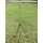 Gartendusche,Pooldusche,Campingdusche von Renus Bild 1