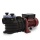 Berlan 550 Watt Poolpumpe 10.000 L/h - BSP550-170 Bild 1