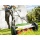 Florabest Handrasenmher Rasenmher FHM 38 A1 Bild 2