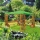 Ptschke Ambiente Mindelheim, Gartenpavillon  Bild 1