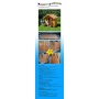 Kinderspielhaus Holzhaus Gartenhaus Pro-Manufactur Bild 1