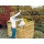 Mlltonnen-Box Mlltonnenverkl. f 2 Tonnen GreenSeason Bild 5