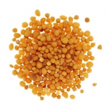 Dehner Balkonblumen-Dnger mit Langzeitwirkung, 1 kg Bild 1