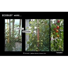 5kg ECOSUS Bio Bodenaktivator nach Terra Preta-Prinzip Bild 1