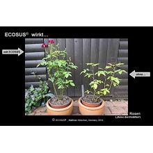 2kg ECOSUS Bio Bodenaktivator nach Terra Preta-Prinzip Bild 1