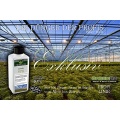 Bonsaidnger HIGHTECH, Premium Flssigdnger Green24 Bild 1