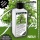 Bonsaidnger HIGHTECH, Premium Flssigdnger Green24 Bild 5
