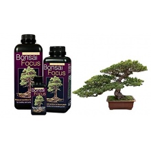 Bonsai Focus 100ml,Bonsaidnger von Growth Technology Bild 1