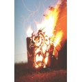 Edelrost Feuerkorb Drache viereck mit Ascheablass 65cm FA10187 Bild 1