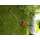 Black & Decker GT5055 Elektro-Heckenschere Bild 5