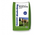 Naturdnger mit Rinderdung 25 kg von Hamann Mercatus Bild 1