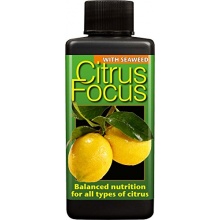 Citrus Focus 100ml,Obstdnger von Growth Technolo Bild 1