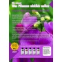 Orchideen-Dnger Komplex AF 5 Ltr. von GREEN24 Bild 1