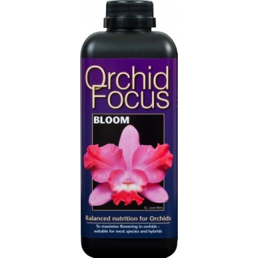 Orchideendnger Konzentrat 1 L, von Bee Bloom Bild 1