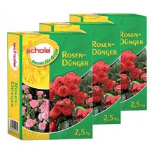 Schola Rosendnger, 3er Pack. (3 x 2,5 KG) Bild 1