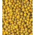 SUBSTRAL Dngeperls Blhstrucher,750 g,Rosendnger  Bild 1