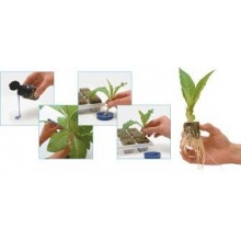 clonex 50ml,Wurzelstimulator,Growth Technology Bild 1