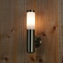 Ranex Auenwandleuchte aus rostfreiem Stahl Bild 1