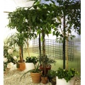 Biogreen Anzuchtregal Bruno Klappregalboden  Bild 1