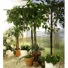 Biogreen Anzuchtregal Bruno Klappregalboden  Bild 1
