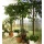 Biogreen Anzuchtregal Bruno Klappregalboden  Bild 1