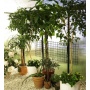 Biogreen Anzuchtregal Bruno Klappregalboden  Bild 1