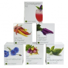 Kit Flippiges Gemse von Plant Theatre,Anzuchtset  Bild 1