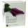 Kit Flippiges Gemse von Plant Theatre,Anzuchtset  Bild 3