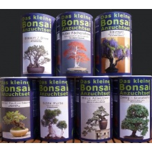 Seedeo Das kleine Bonsai Anzuchtset Blauregen Bild 1