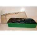 Seedeo Bonsai Anzuchtset Mediteran deluxe  Bild 1